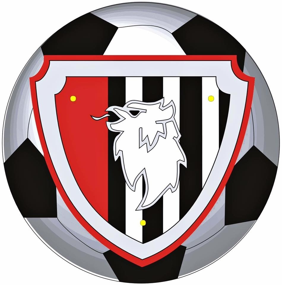 Uczniowski Klub Sportowy „Orlik-15”