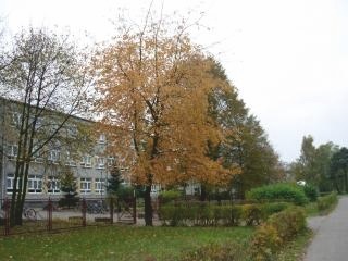 Szkoła Podstawowa Nr 1 
Im. Polskich Podróżników