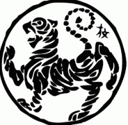 Konińskie Stowarzyszenie Sportów Walki