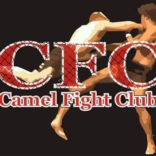 Camel Fight Club