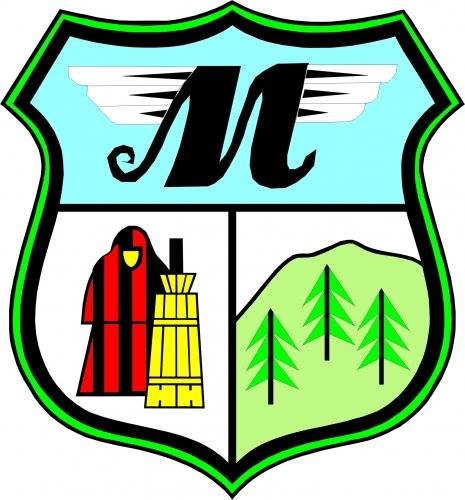 Masłowskie Stowarzyszenie Sportowe 
Klonówka Masłów