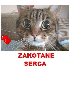 Grażyna Bartmańska