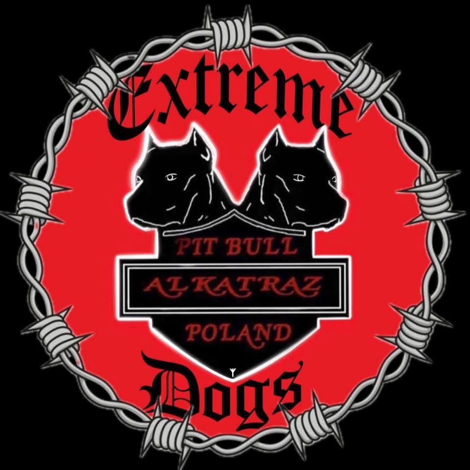 Stowarzyszenie Pitbull Alkatraz-Fce Poland