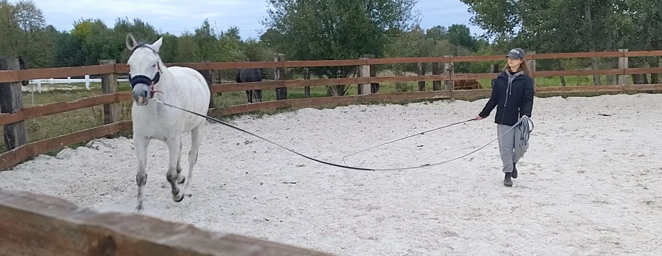 Pomóż Julii Rozwijac Jeździecką Pasje