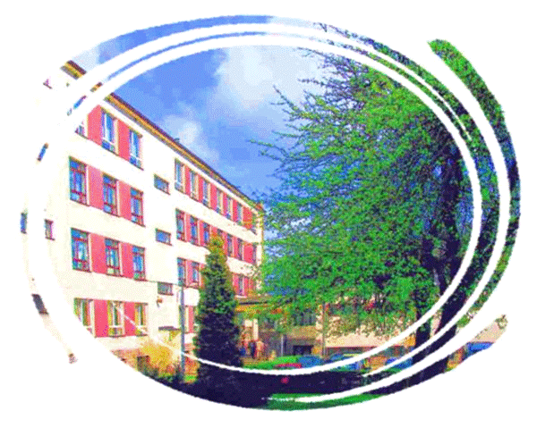 Zespół Szkół Zawodowych Specjalnych Im. M. Grzegorzewskiej